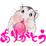 Hamster with brush and colored pencil