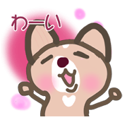 Chihuahua in Japanese
