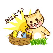Pon the Cat 2