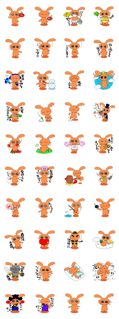 Everyday of orange rabbit