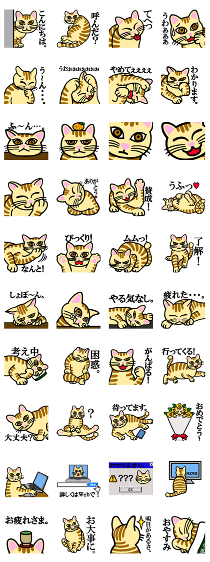 I am a cat.Thank you.3!