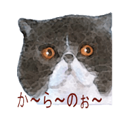 A lot of cute cats