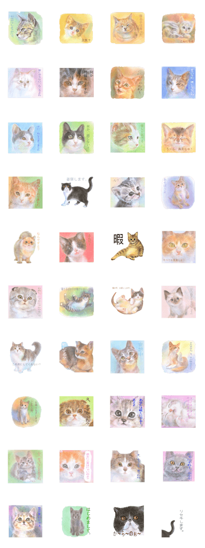 A lot of cute cats