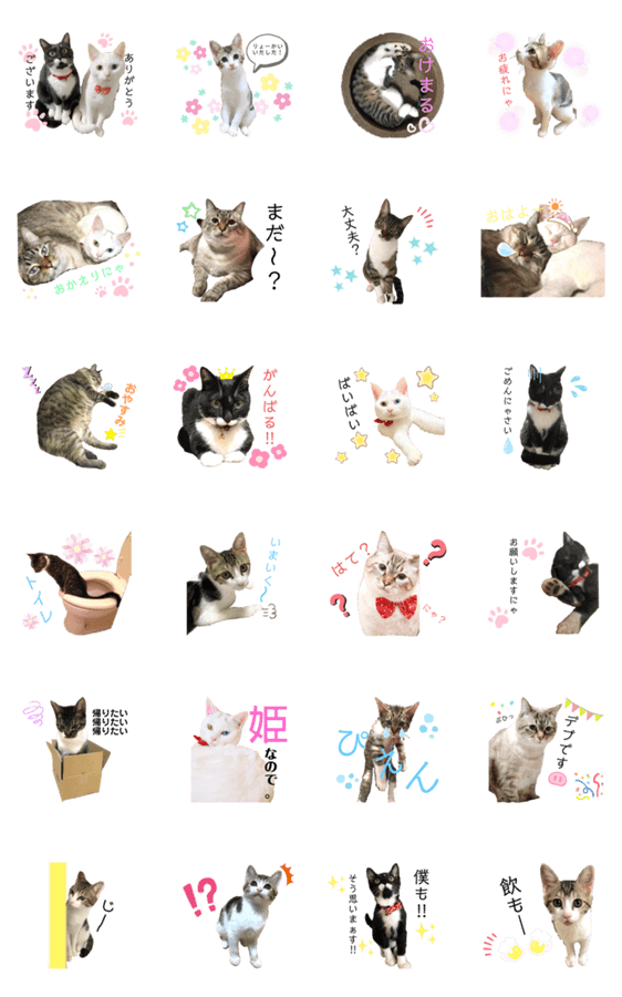えりかじょーの猫たち Lineクリエイターズスタンプ Stamplist