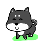 QQ puppy