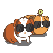 GUGU & MOMO and Friends