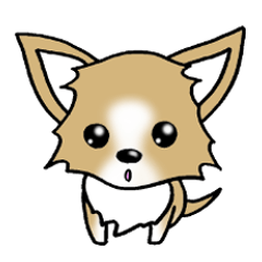 Chihuahua's Sticker!