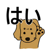 Dachshund AMEKO Part4.