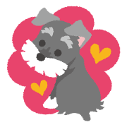 Tuna of Schnauzer 1