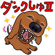 Dachs2