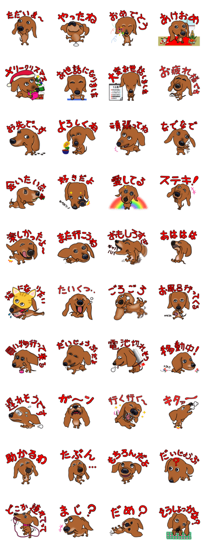 Dachs2
