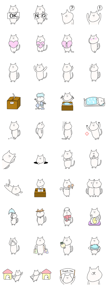 Deadpan cat MOKO
