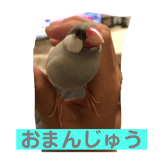 D_20200212230458