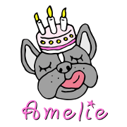 French bulldog, Amelie 40 various faces!