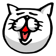 cojicoji cat