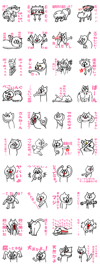 cojicoji cat
