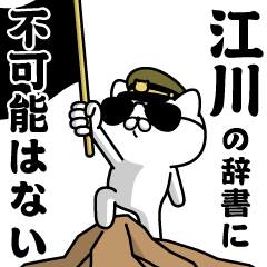 "EGAWA"name/Military cat