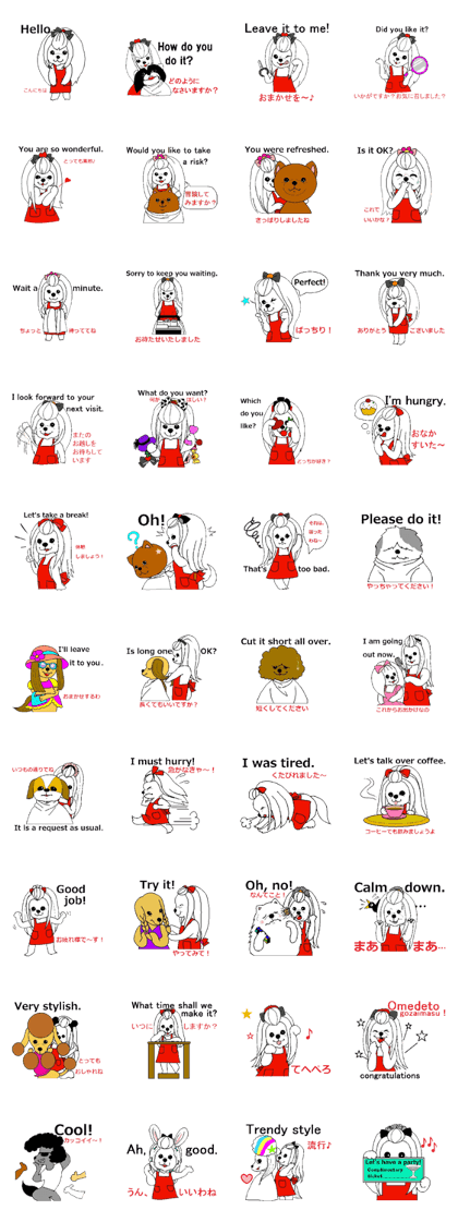 play hairdresser of the maltese dog