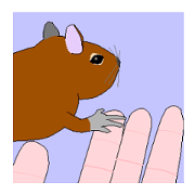 It is a degu