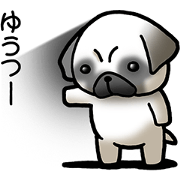 Decline pug dog