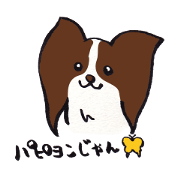 PAPILLON in MIKAWA