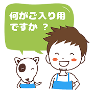 OnLineShop Boy
