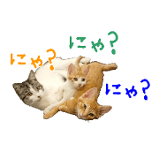 usachan_20200213010715