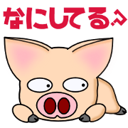 Pigs are cool