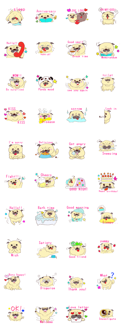 Pug Happy day