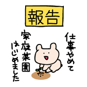 Report of Kumagoro
