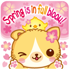 MunchkinCat!Spring is in full bloom!Eng.