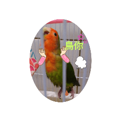 四個人(◍•ᴗ•◍)❤