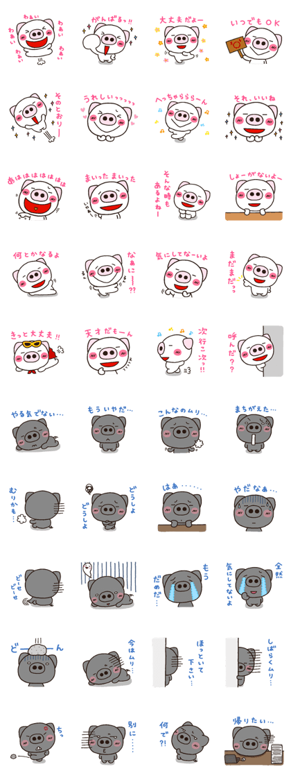 pig heart 17
