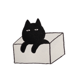 Black cat(female)