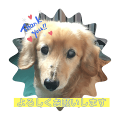 melon_20200213125714