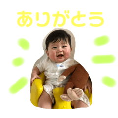 hona_20200213125115