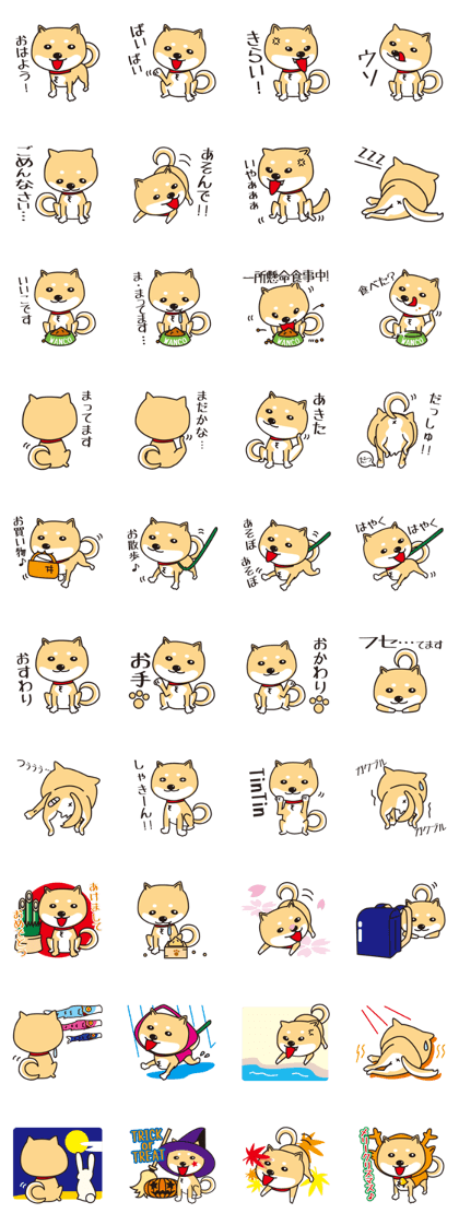 Japanese Dog "Shiba" LIfe