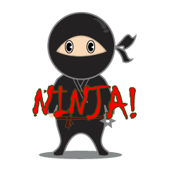 Black ninja