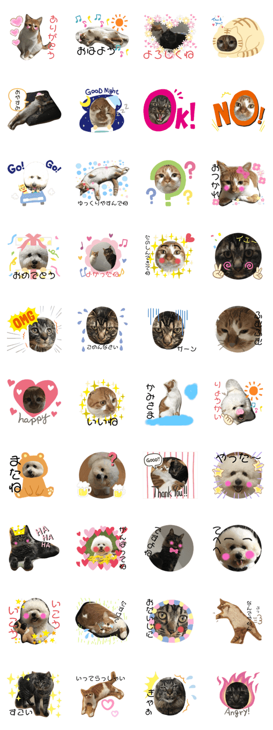 猫と犬の毎日 Lineクリエイターズスタンプ Stamplist