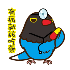 鳥妹愛嘰喳-台灣藍鵲生活趣