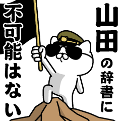 "YAMADA"name/Military cat
