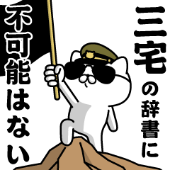 "MIYAKE"name/Military cat