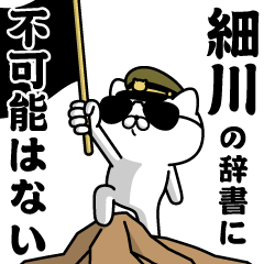 "HOSOKAWA"name/Military cat