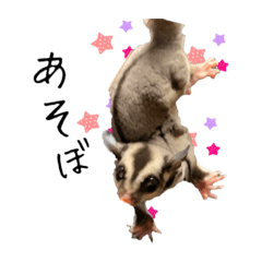 ARISA_20200213151752