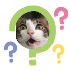 可愛貓咪的日常1117