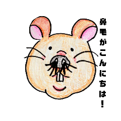 Canmouse_20200213144024