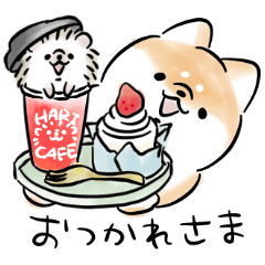 Shiba Inu Dog & Friends