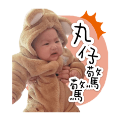 丸仔熊的小日常