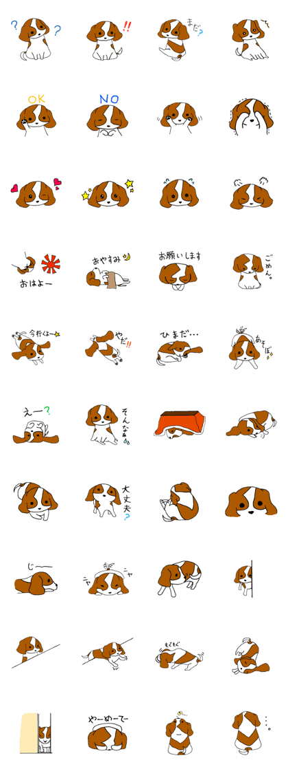 My Cavalier