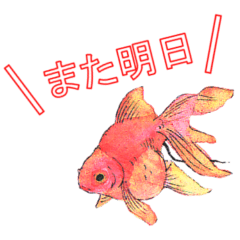 Sticker of Goldfish